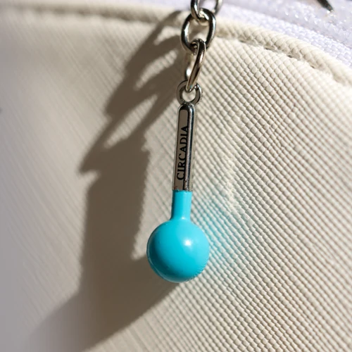 Key Chain Set